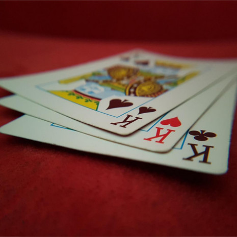 Teach-A-Trick adds magic to any Chicago area birthday party!
